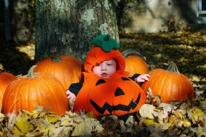 Pumpkin Fun | Alina Sayre, Author